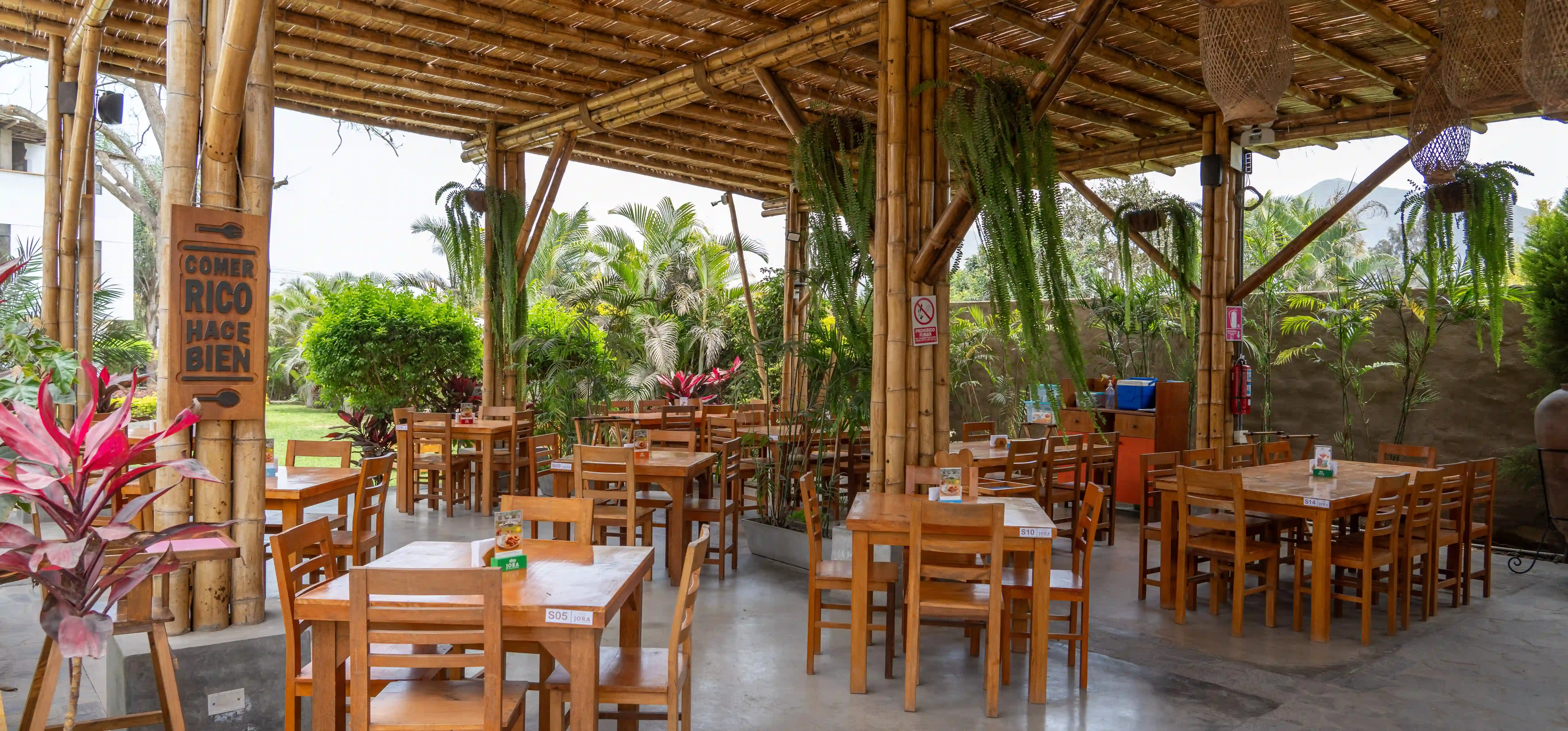 Plato de comida típica peruana